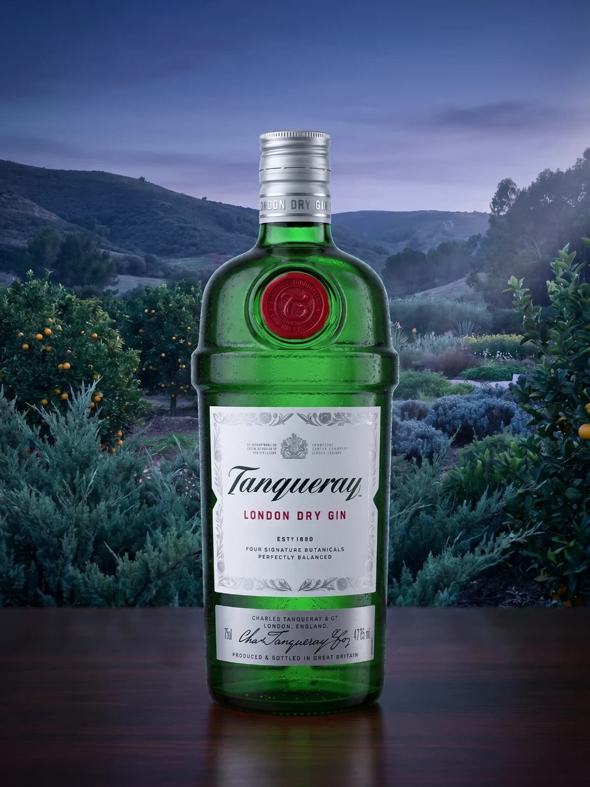 Gin Tanqueray London Dry 750ml